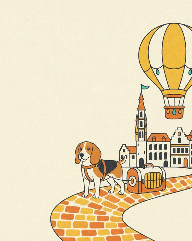 Editorial illustration for “Relocating Your Pet to Belgium”.